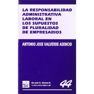 La responsabilidad administrativa laboral en los supuestos de pluralidad de empresarios